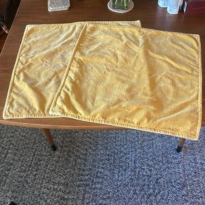 Two Pottery Barn Shams